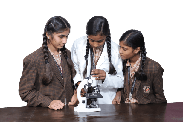 Lord Krishna Convent School Gallery