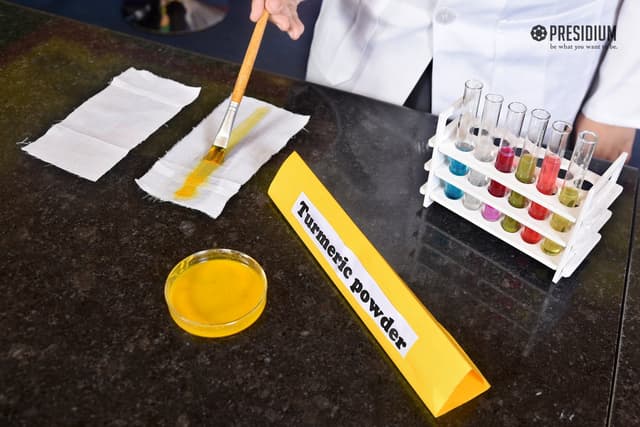 Presidium School Gallery