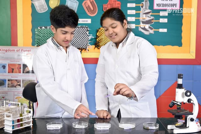 Presidium School Gallery