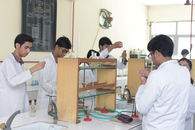 Sarla Chopra D.A.V. Public School Gallery