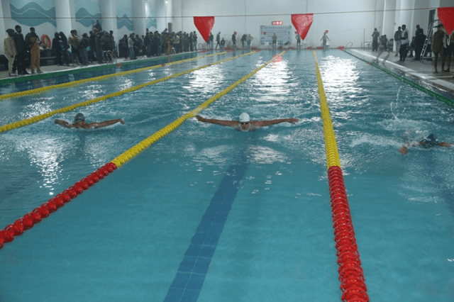 Sarla Chopra D.A.V. Public School Gallery