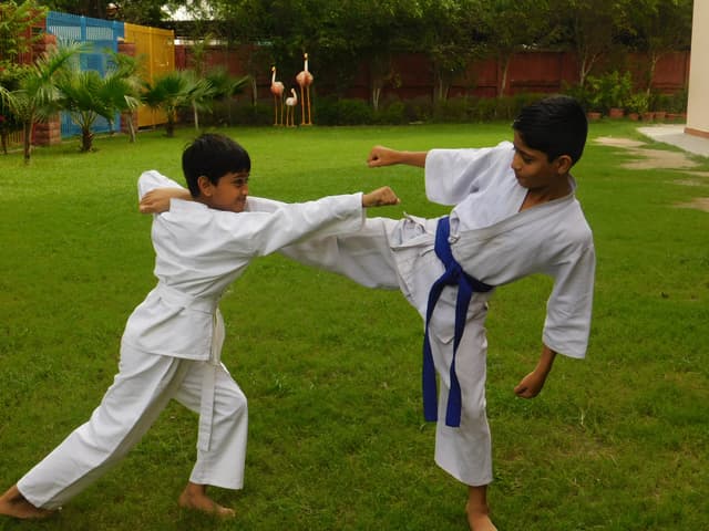 The SD Vidya School Gallery