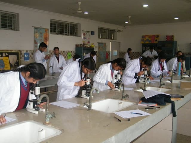 Bishop Patrick Nair St. Mary’s Christian School Gallery