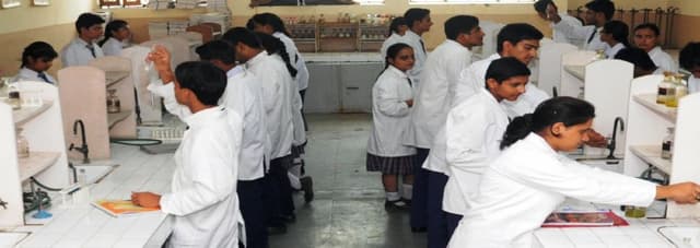 D A V Public School Gallery