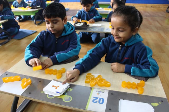 DLF Public School Gallery