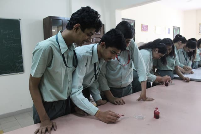 DLF Public School Gallery