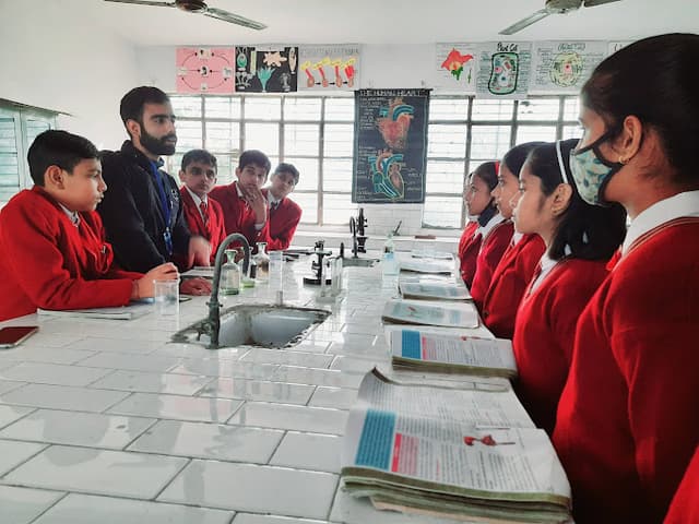 Chhaya Public School Gallery