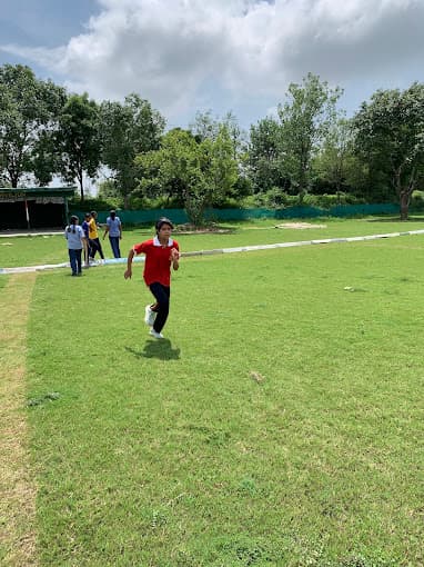 Springville Public School Gallery