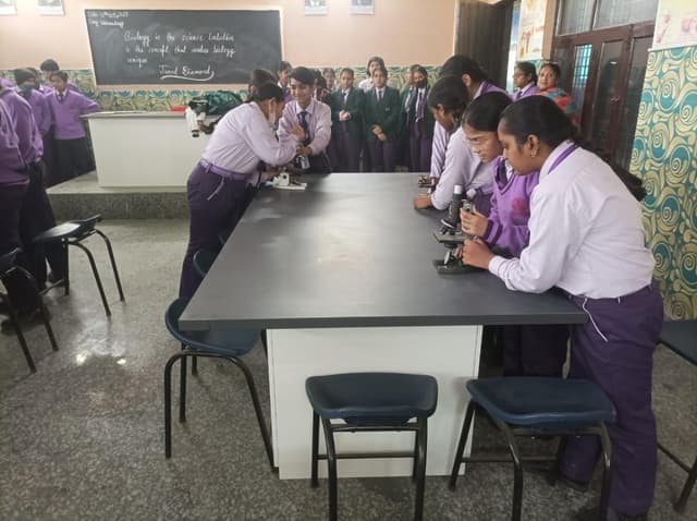 Das Universal Academy Gallery