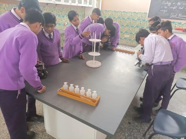 Das Universal Academy Gallery