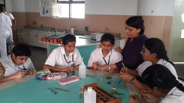 Delhi Public School Ghaziabad International Gallery