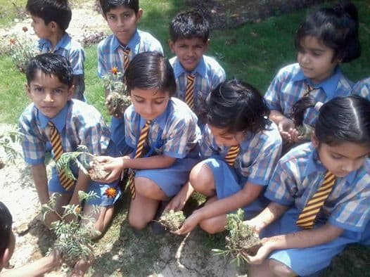 Surevin International School Gallery