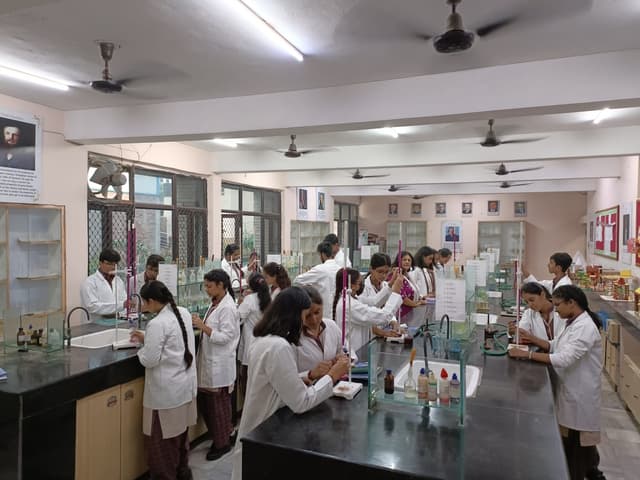 DAV Public School Gallery