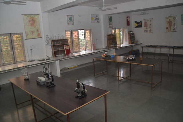 Krishna Vidya Niketan Gallery