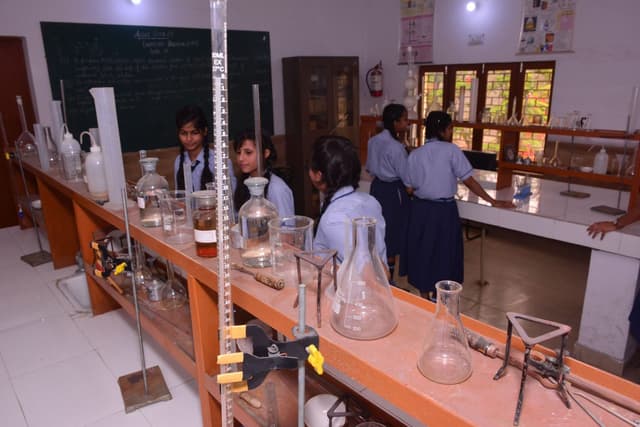 Krishna Vidya Niketan Gallery