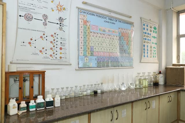 Delhi Public School Gallery