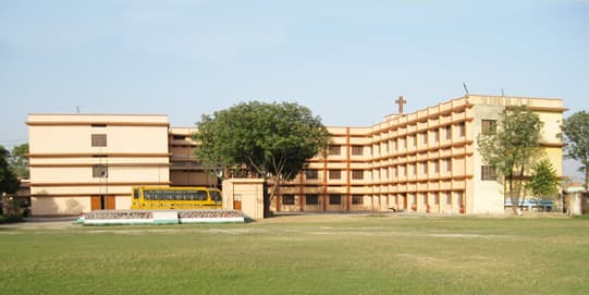 Mount Carmel School Gallery