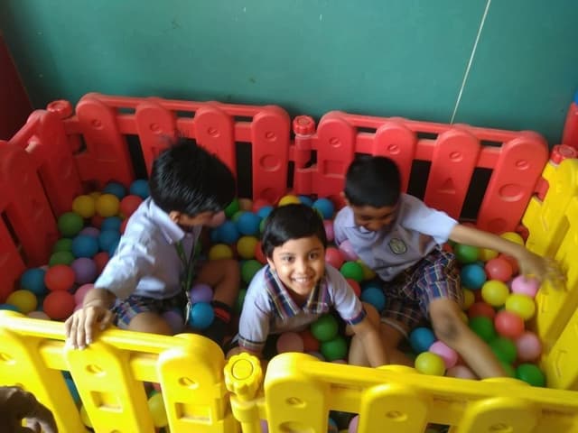 D.P. Public School Gallery