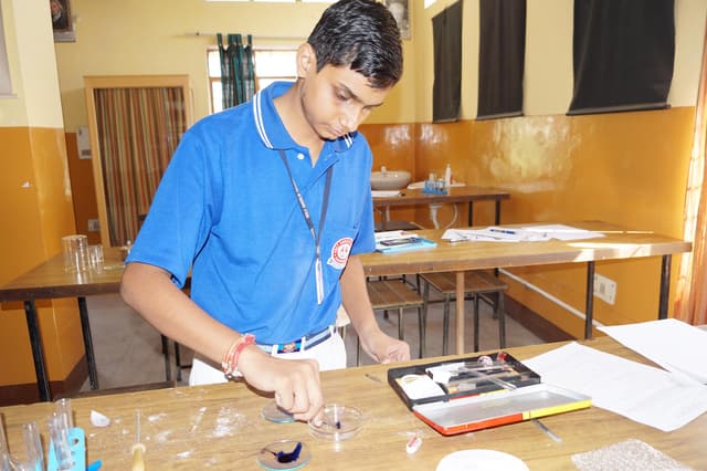 Holy Angels' Senior Secondary School Gallery