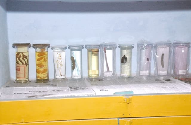 Holy Angels' Senior Secondary School Gallery