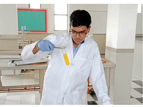 Step Up School Gallery