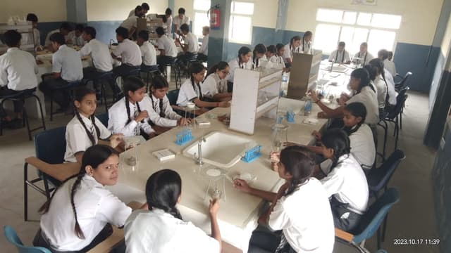 M.L. Public School Gallery