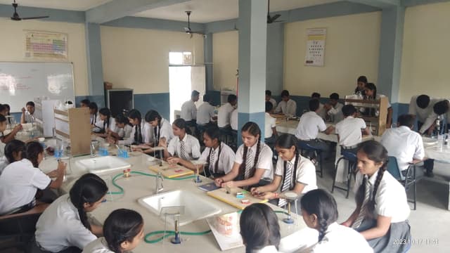 M.L. Public School Gallery