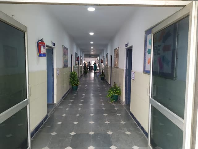 Children's Academy Gallery