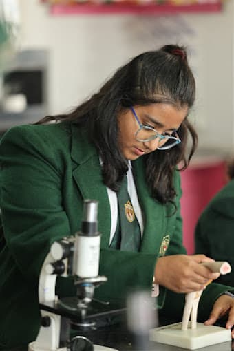 Delhi Public School Gallery