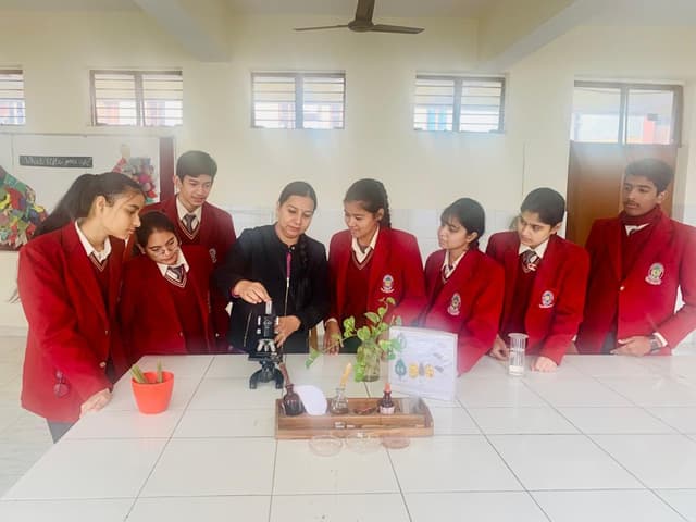 St. Thomas School Gallery