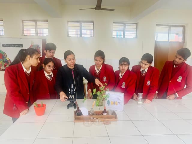 St. Thomas School Gallery