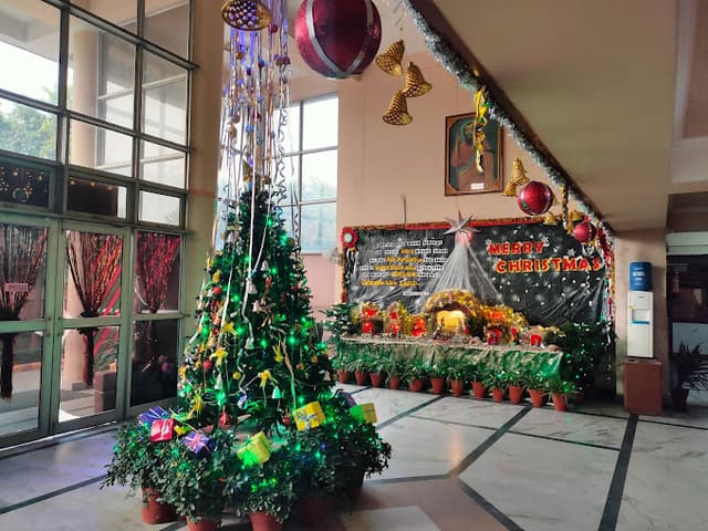 St. Thomas School Gallery