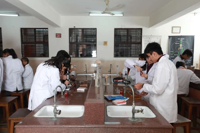 Cambridge School Gallery