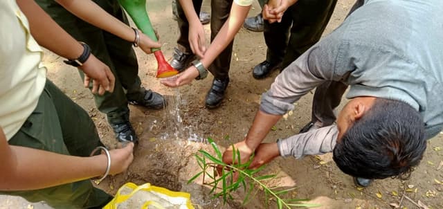 Greenfield Public Junior High School Gallery