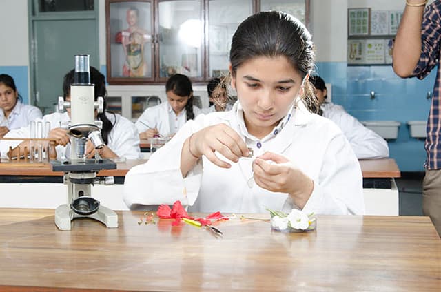 Holy Child School Gallery