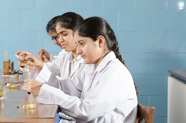 Holy Child School Gallery