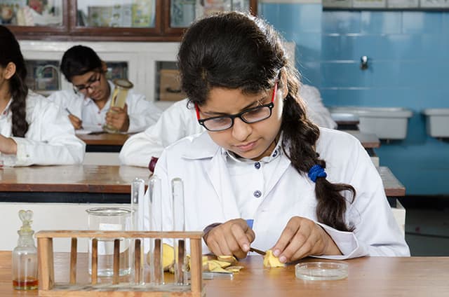 Holy Child School Gallery