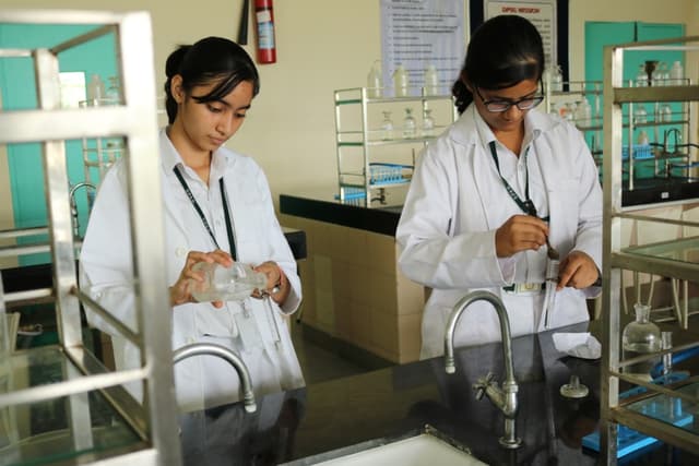 Delhi Public School Gallery