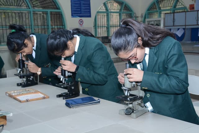 Delhi Public School Gallery