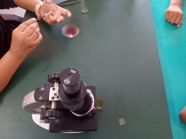 KC International School Gallery