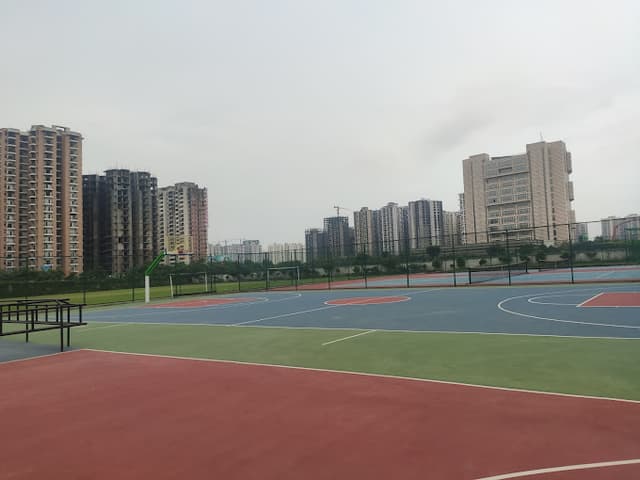 St. Xavier's High School Gallery