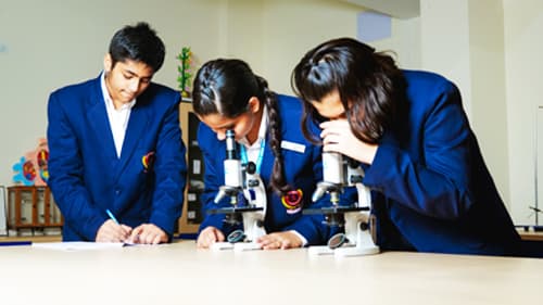 St. Xavier's High School Gallery