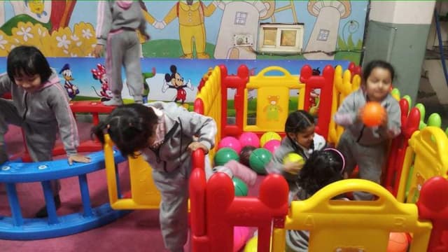 Delhi Convent School Gallery