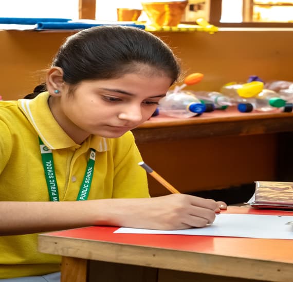 New Rainbow Public School Gallery