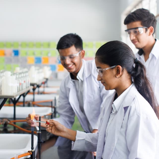 Nehru World School Gallery