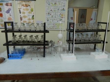 Zennext Public School Gallery