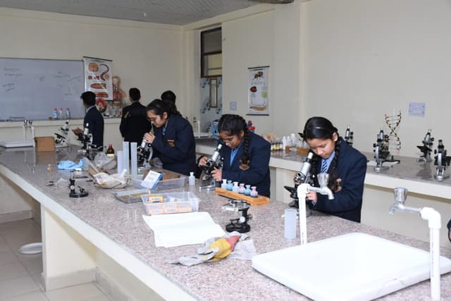 Zennext Public School Gallery