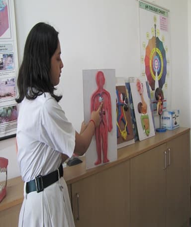 Delhi Public School Gallery