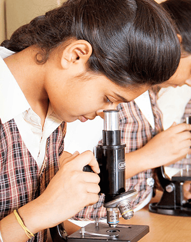 J.K.G. School Gallery