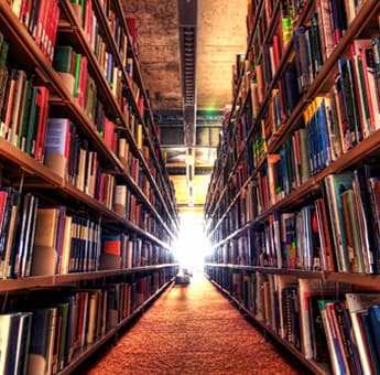 Scholars International School Gallery